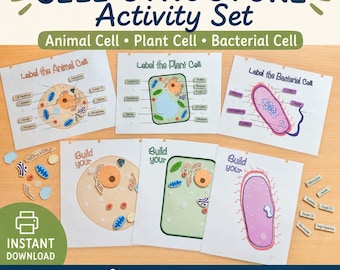 Cell Structure Activity Set: Animal, Plant & Bacteria Cell Models (Printable Diagram)