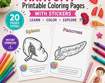 Anatomy Coloring Pages & Sticker Pack for Kids