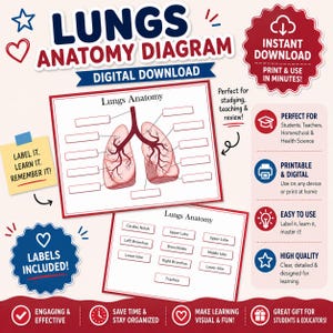 May include: Digital download of a lungs anatomy diagram. The diagram includes labeled sections of the lungs and a separate chart with labels. The image is designed for studying, teaching, and review. The text includes "Labels Included!" and "Print & Use in Minutes!"