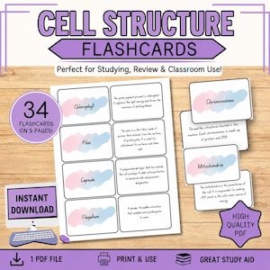 Cell Structure and Function Flashcards featuring Animal, Plant and Bacterial Cells
