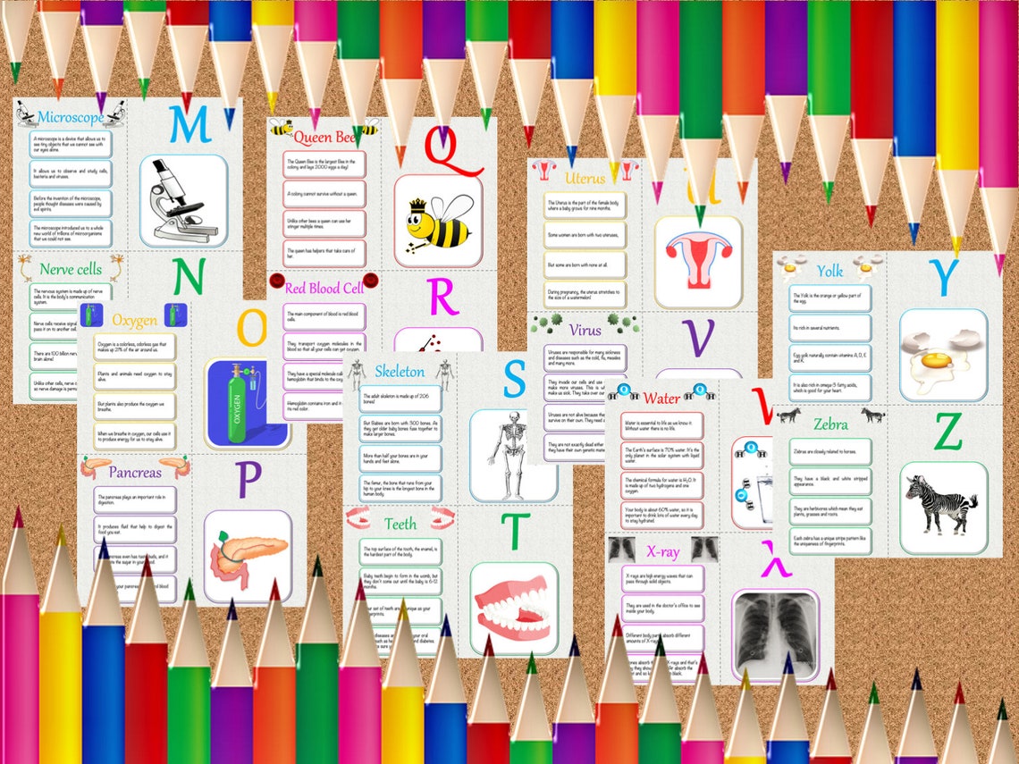 Abcs of Biology Printable Flashcards Etsy