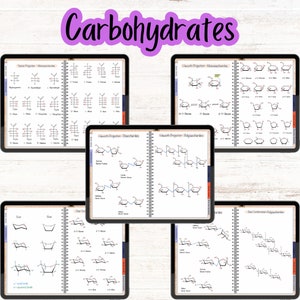 Carbohydrates section with monosaccharides and disaccharides in Fisher, Haworth, and chair conformations.