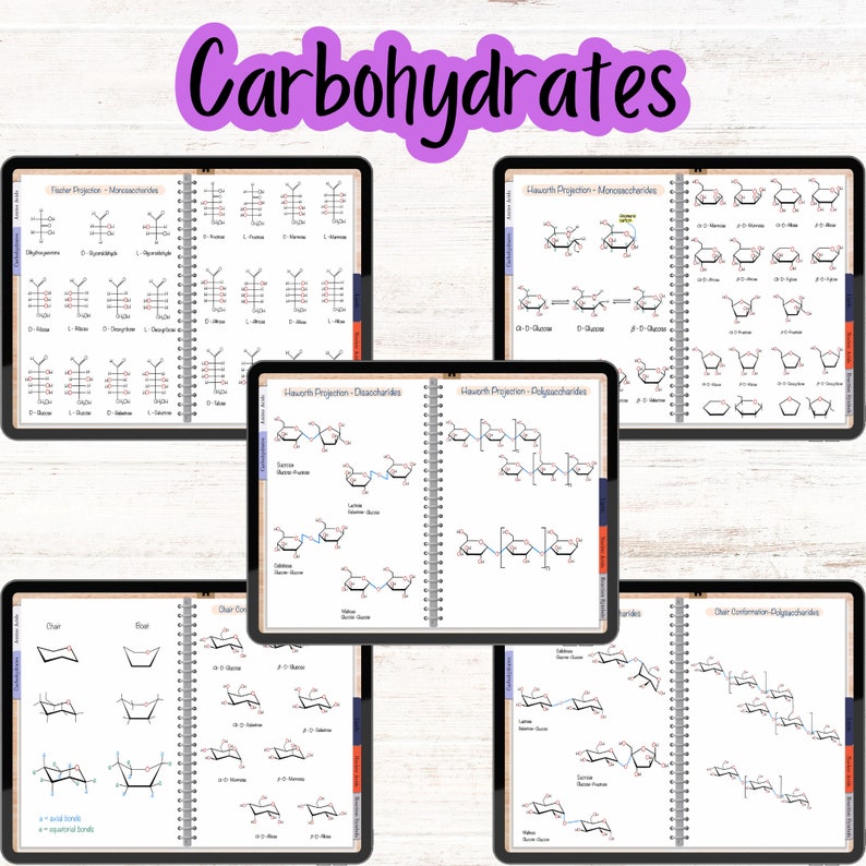 Carbohydrates section with monosaccharides and disaccharides in Fisher, Haworth, and chair conformations.