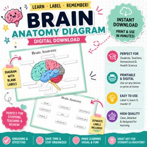 May include: A digital download brain anatomy diagram with a colorful illustration of the brain. The diagram includes blank labels and is designed for studying, teaching, and review. The text includes "Learn, Label, Remember!" and "Instant Download."
