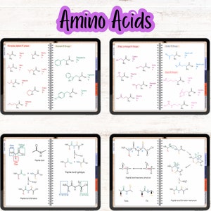 Digital notebook pages showing amino acids grouped by polarity and R groups, featuring peptide bond diagrams and mechanisms.