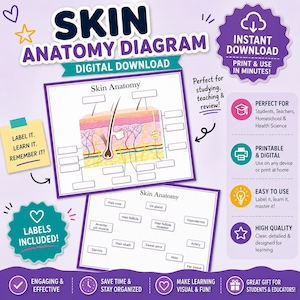 Puede incluir: Una descarga digital de un diagrama de anatomía de la piel. El diagrama presenta una ilustración detallada de las capas de la piel con etiquetas y el texto "Skin Anatomy Diagram" en letras grandes y en negrita. Incluye etiquetas y es imprimible.