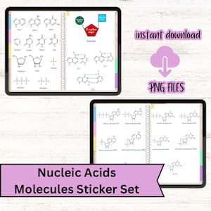 Nucleic Acid Digital Stickers for Biochemistry and Biology Notes