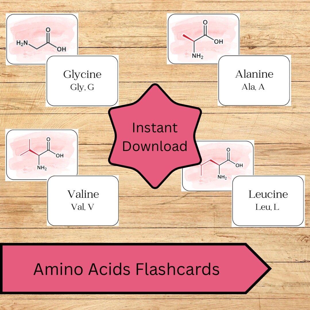 Amino Acid Flashcards for Biology, Biochemistry, Medical School