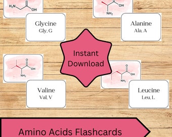 Printable Amino Acids Flashcards - Instant Download for