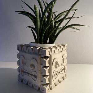 Könnte beinhalten: Ein grauer Betontopf in Form eines Würfels mit einem Gesicht auf jeder Seite. Der Topf hat auf jeder Seite einen geschnitzten wütenden Ausdruck. Eine grüne Schlangenpflanze wächst im Topf.