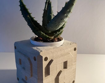 Super Mario Fragezeichenblock Planter
