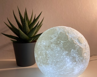The Moon