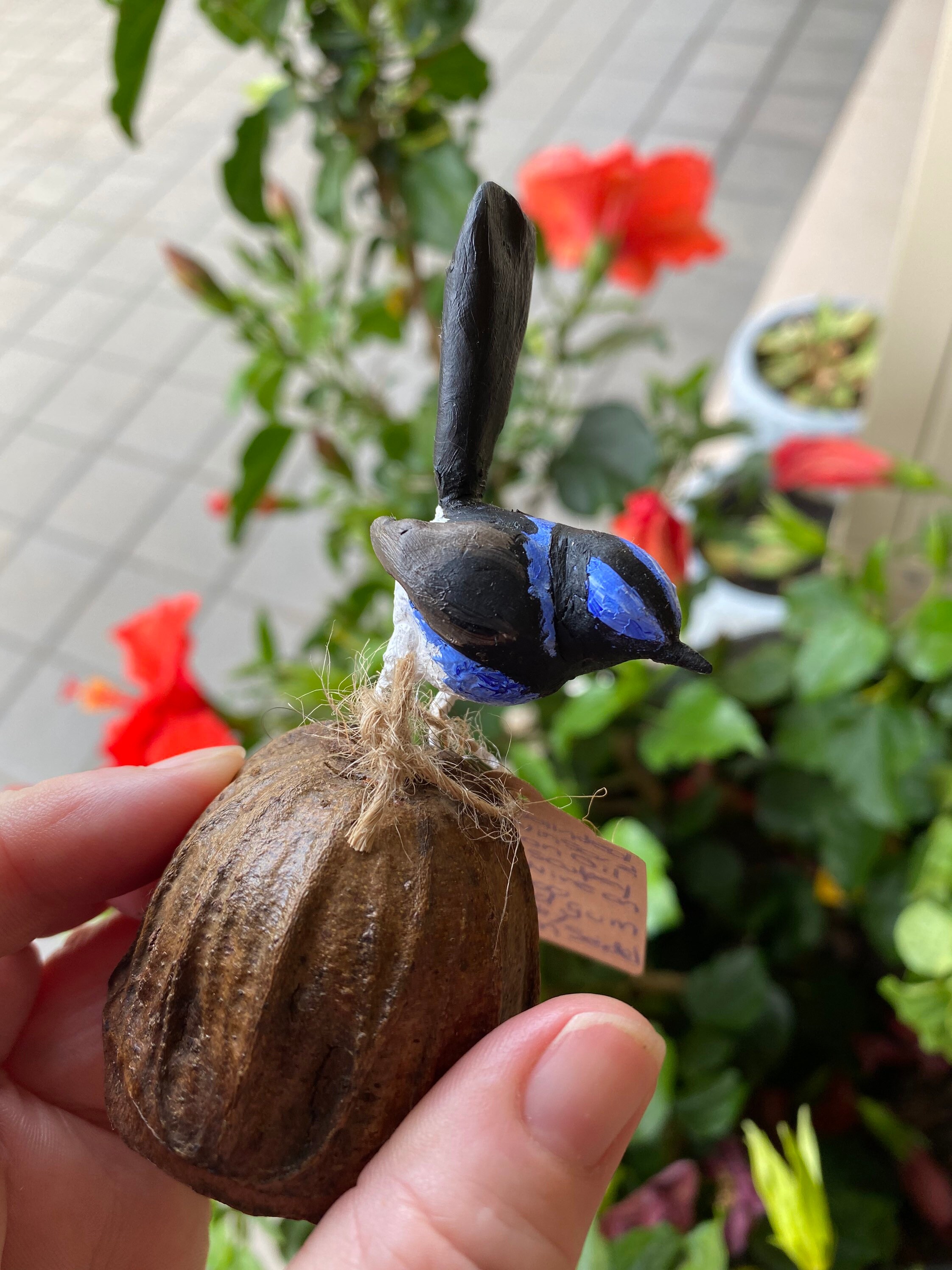 Natasha Junmanee - Superb fairy wren and gum flower