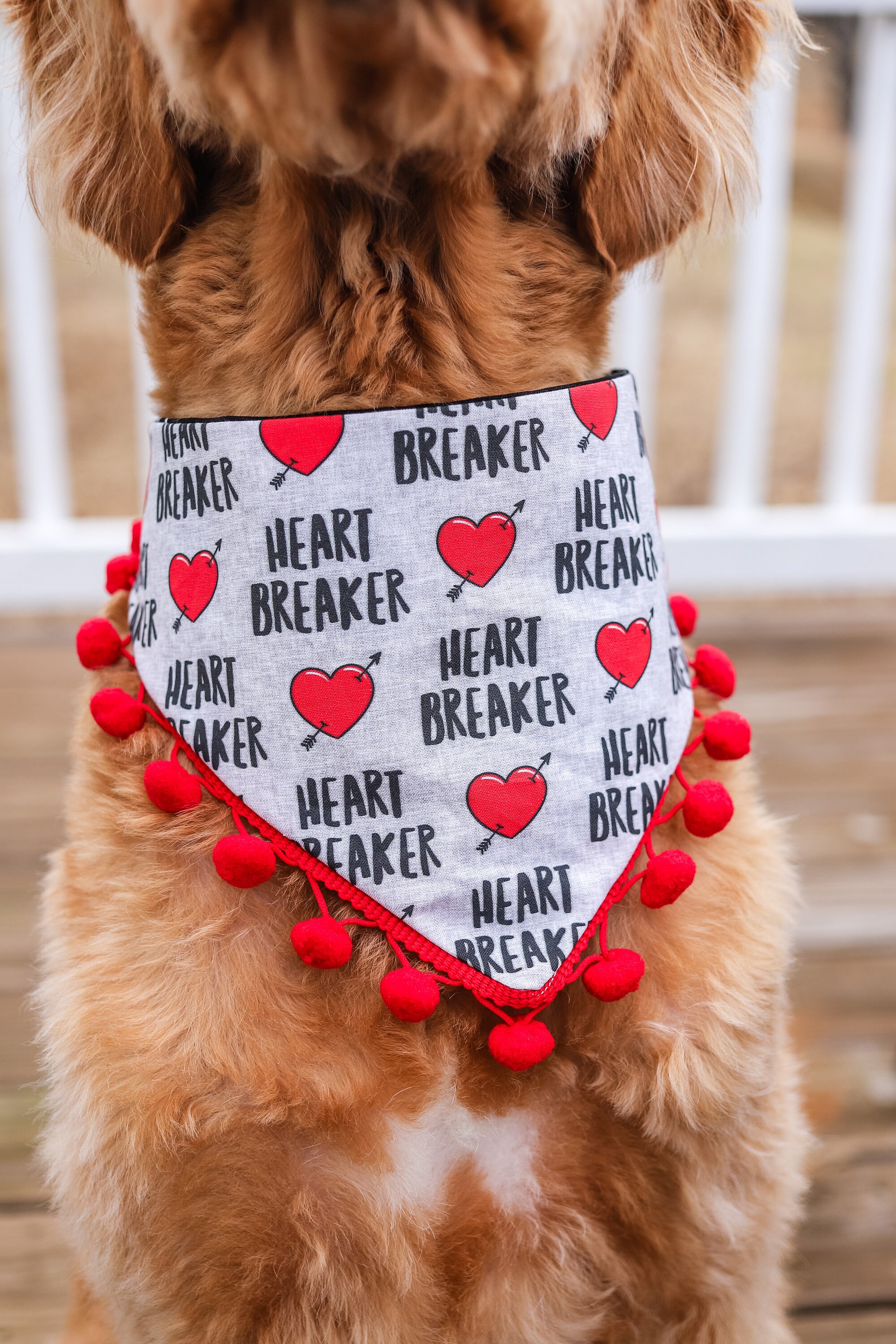 Dog Bandana, Red Heart Valentine