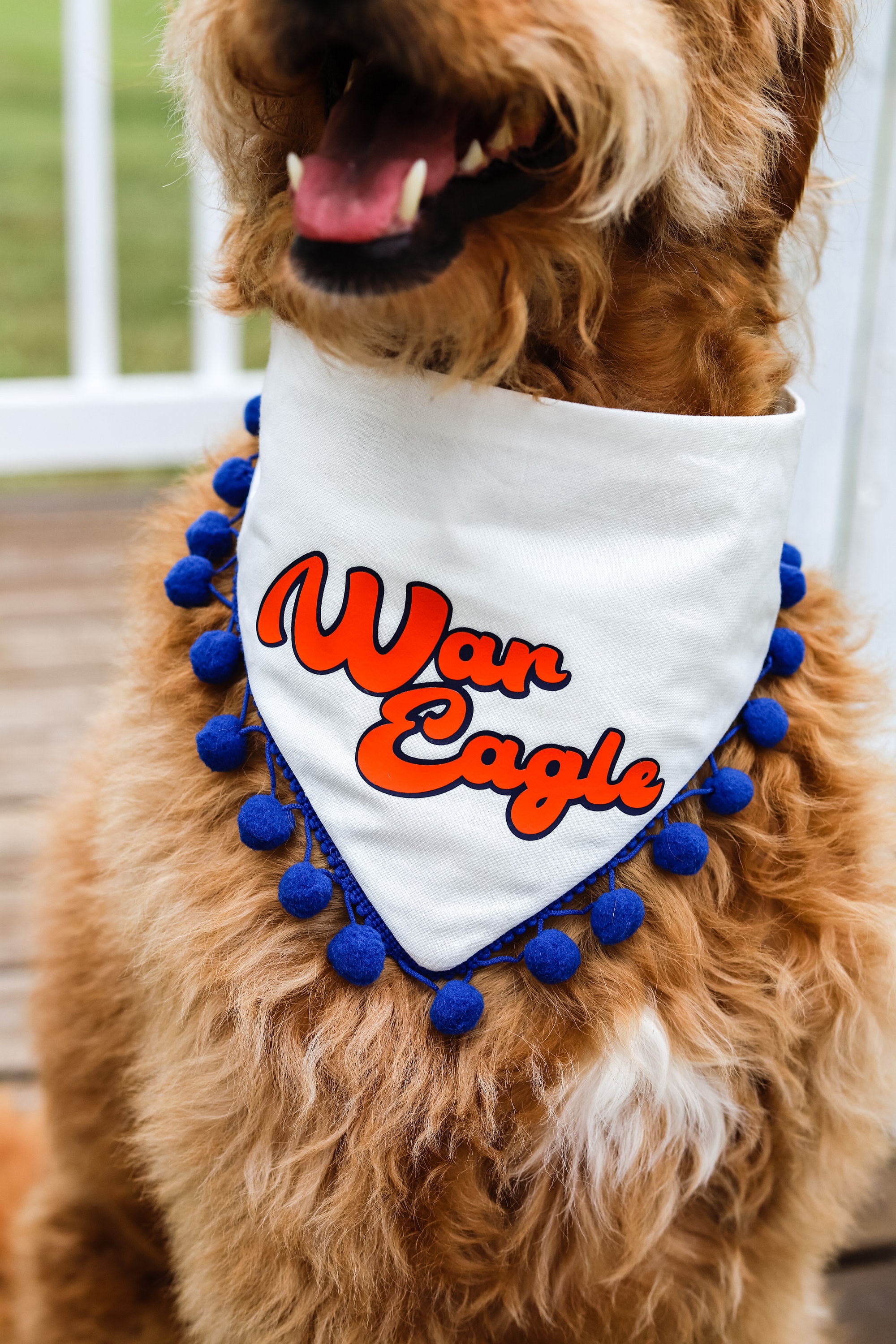 Get Your Dog Game-Day Ready With These Sporty Dog Jerseys