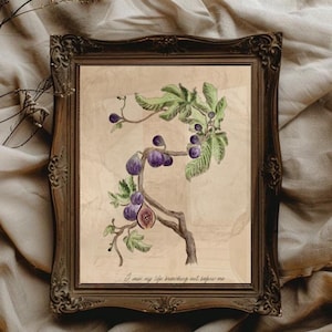 Der Feigenbaum | Kunstdruck | Willkommen Poster Trendige Wand Kunst Flur Wand Dekor Flur Prints Flur Art Typografie Plakat