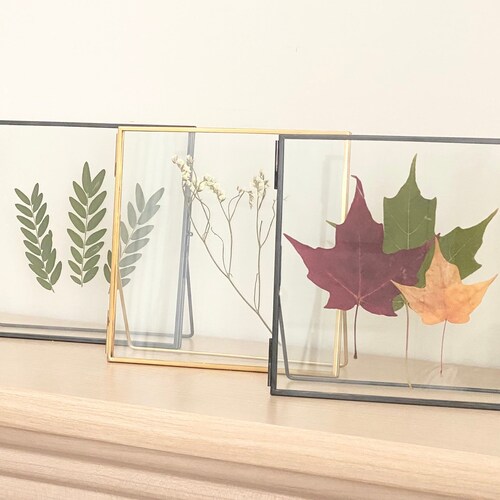 Double Glass Frame for Pressed Flowers Polaroid and Artwork Etsy