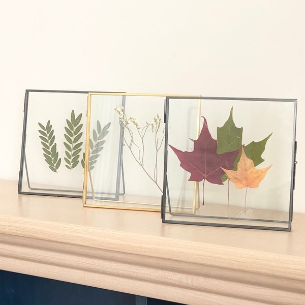 Set of 2 Glass Frame for Pressed Flowers, Leaf and Artwork - Standing Square Metal Picture Frames, Modern Double Glass Floating Frame Decor