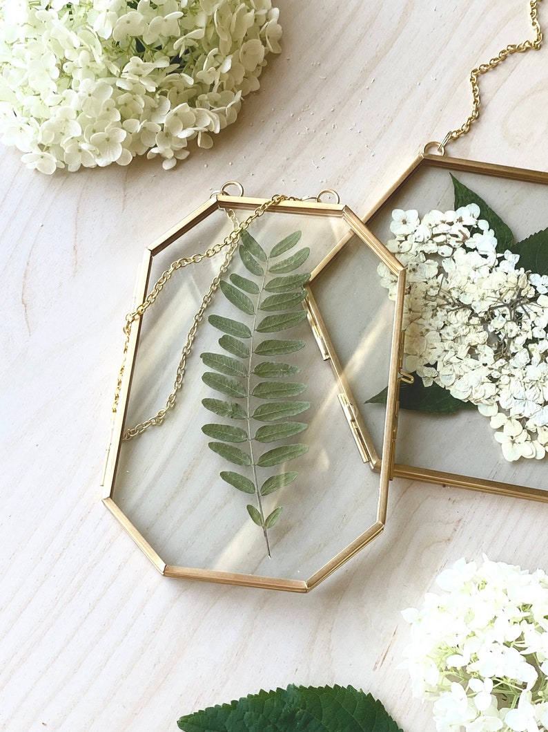 4x6 octagon floating glass frame displaying greenery. Hexagon frame holding white hydrangea. Cute floating glass frames for displaying pressed flowers, Polaroid photos, cards and more. Perfect for keepsakes and small mementoes.