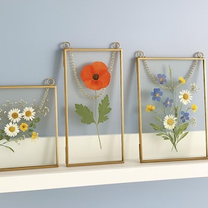 Set of 3 - 6x6, 6x8, 4x9 inches Glass Hanging Frames for Pressed Flowers & Photos – Vintage Brass Floating Frames, Wall Decor Frame