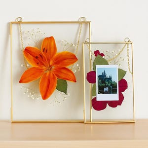 Set of 2 Double Glass Frames for Pressed Flowers, Photos & Art – Large Hanging Metal Floating Frames for Wall Display
