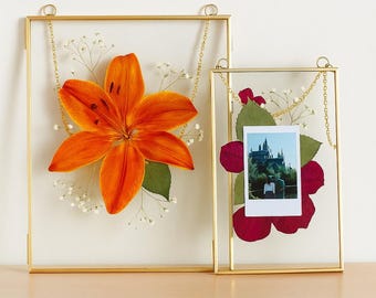 Set of 2 Double Glass Frames for Pressed Flowers, Photos & Art – Large Hanging Metal Floating Frames for Wall Display