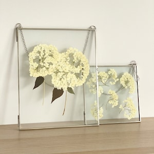 May include: Two silver framed glass picture frames with hanging chains, each containing pressed white flowers. The larger frame is on the left and the smaller frame is on the right.