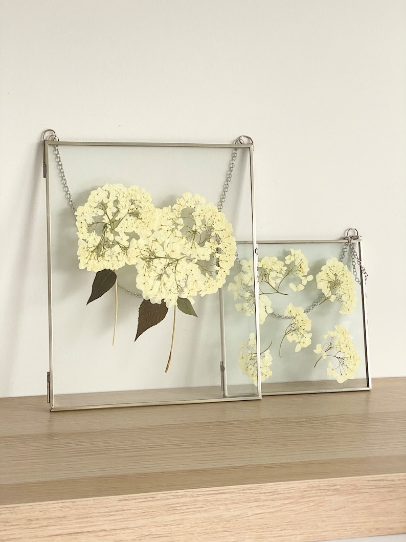 May include: Two silver framed glass picture frames with hanging chains, each containing pressed white flowers. The larger frame is on the left and the smaller frame is on the right.