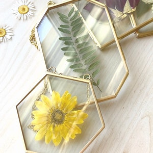 Golden double glass frames - set of 4. Preserve leaves, greenery, roses, flowers for years to come. Create a unique piece of art for your home or loved ones.