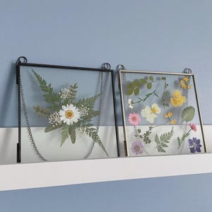 Floating Glass Picture Frames – Great for DIY Gifts, Pressed Flowers, Handprint Art, Postcards, Polaroid Photos – Easy to Use & Personalize