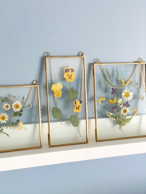 Double Glass Frame for Pressed Flowers, Polaroid and Artwork Floating Glass  Hanging Metal Picture Frames Set of 3 6x6, 6x8, 4x9 Inches 