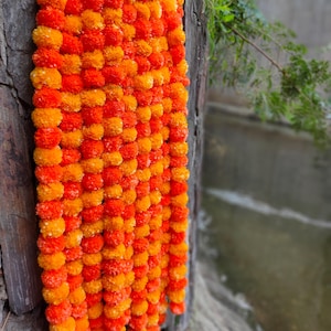 Könnte beinhalten: Eine lebendige Girlande aus orangefarbenen und gelben Ringelblumen. Die Blumen sind dicht gepackt und erzeugen eine strukturierte, farbenfrohe Darstellung. Die Girlande ist vor einer verwitterten Holzoberfläche drapiert, mit Grün im Hintergrund.