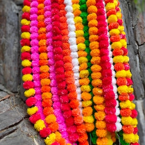 Peut inclure: Plusieurs guirlandes de fleurs de souci colorées, aux tons rose, rouge, orange, jaune, blanc et vert. Les guirlandes sont suspendues sur un fond texturé gris, créant une présentation vibrante.