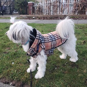 Burberry dog coats top