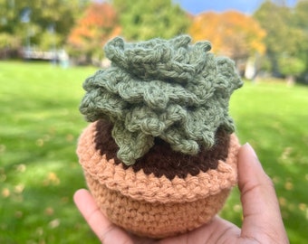 Crochet Succulent