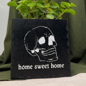 May include: Black planter with a white skull graphic and the text "home sweet home". A green succulent plant is growing in the planter.