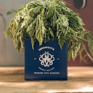 Custom Logo Plant Pot, Planter Box with Custom Logo or Custom Text - Personalized Corporate Gift, Handmade Company Gift with Business Logo