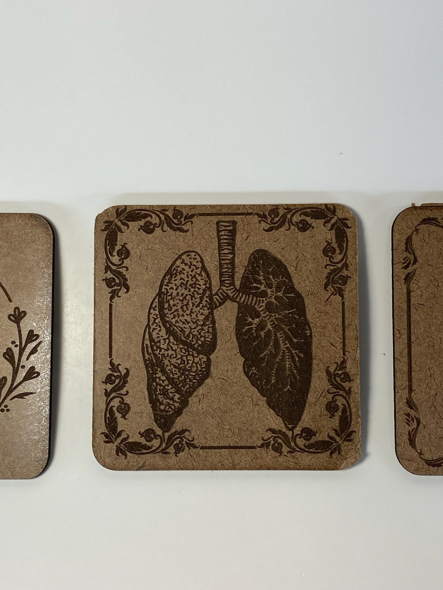 Engraved Coaster Set | Anatomy Medical Coaster, Dr. Gift, Dark Academia ...