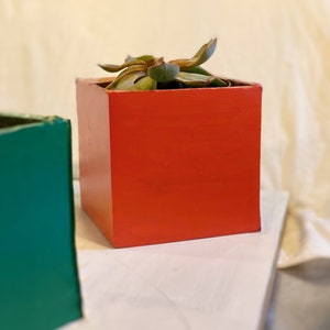Puede incluir: Una pequeña planta suculenta en una maceta cuadrada roja. La maceta está sobre una superficie blanca.