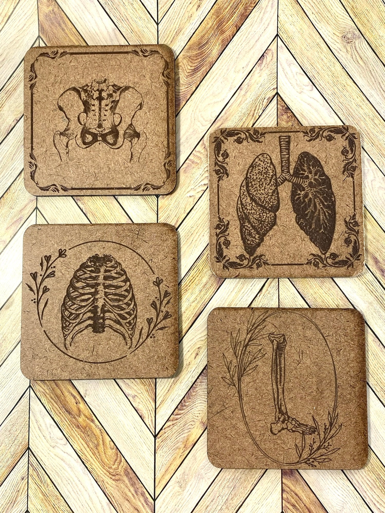 Engraved Coaster Set | Anatomy Medical Coaster, Dr. Gift, Dark Academia ...