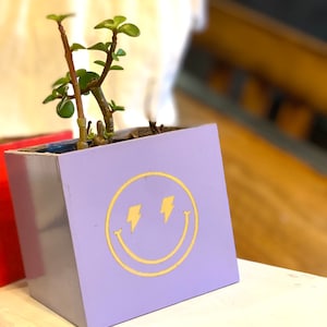 Indoor Planter Pot With Drainage | Housewarming Home Decor Gift