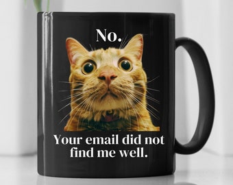 Funny Cat Mug, Office Meme Cat, Sarcastic Office Coffee Cup, No Your Email Did Not Find Me Well Funny Mug For Coworker