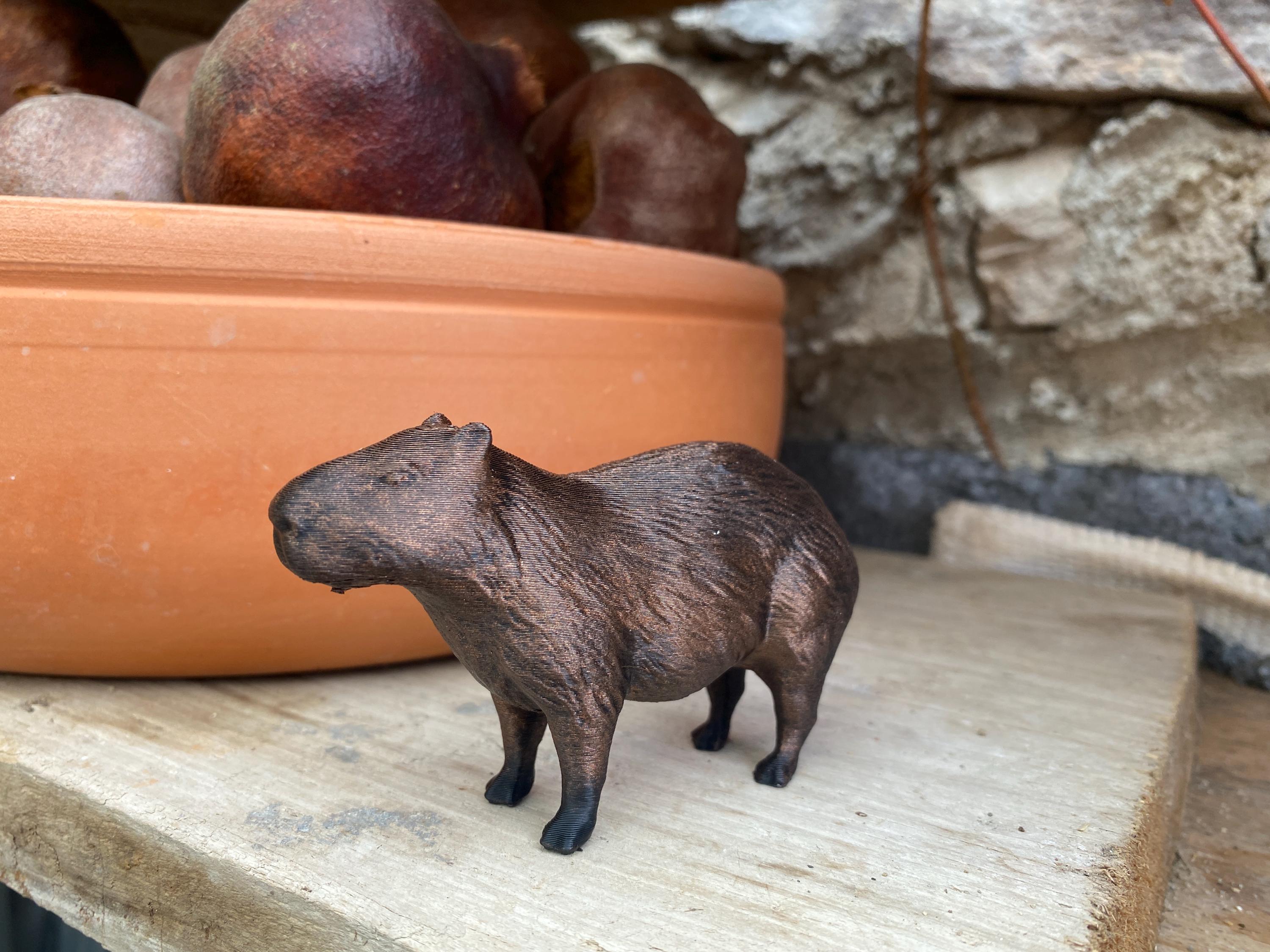 手描きのカピバラの置物：3DプリントのPLAミニチュア - Etsy 日本