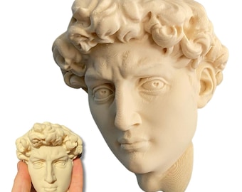 3D Printed David Bust Wall Decor: Renaissance Art Sculpture