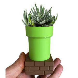 May include: A green plastic planter shaped like a pipe from the Super Mario Bros. video game. The planter is sitting on a brown brick base. A small succulent plant is growing in the planter.