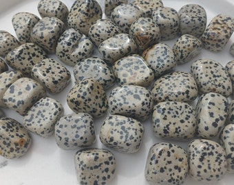 Dalmatian Jasper Tumblestone | Crystal Tumble | Spotted Dalmation Tumbled Stone | Chakra Gifts | For Joy, Happiness | Holistic Healing