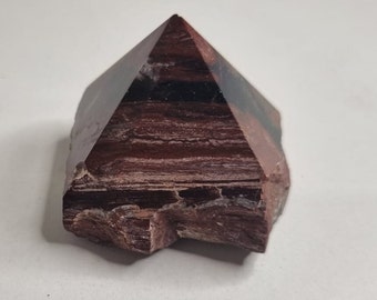 Petrified Wood Top Half Polished Point | Fossilised Wood Crystal, Ancient Wisdom, Mother Earth Energy, Grounding Stone, Akashic Records Tool