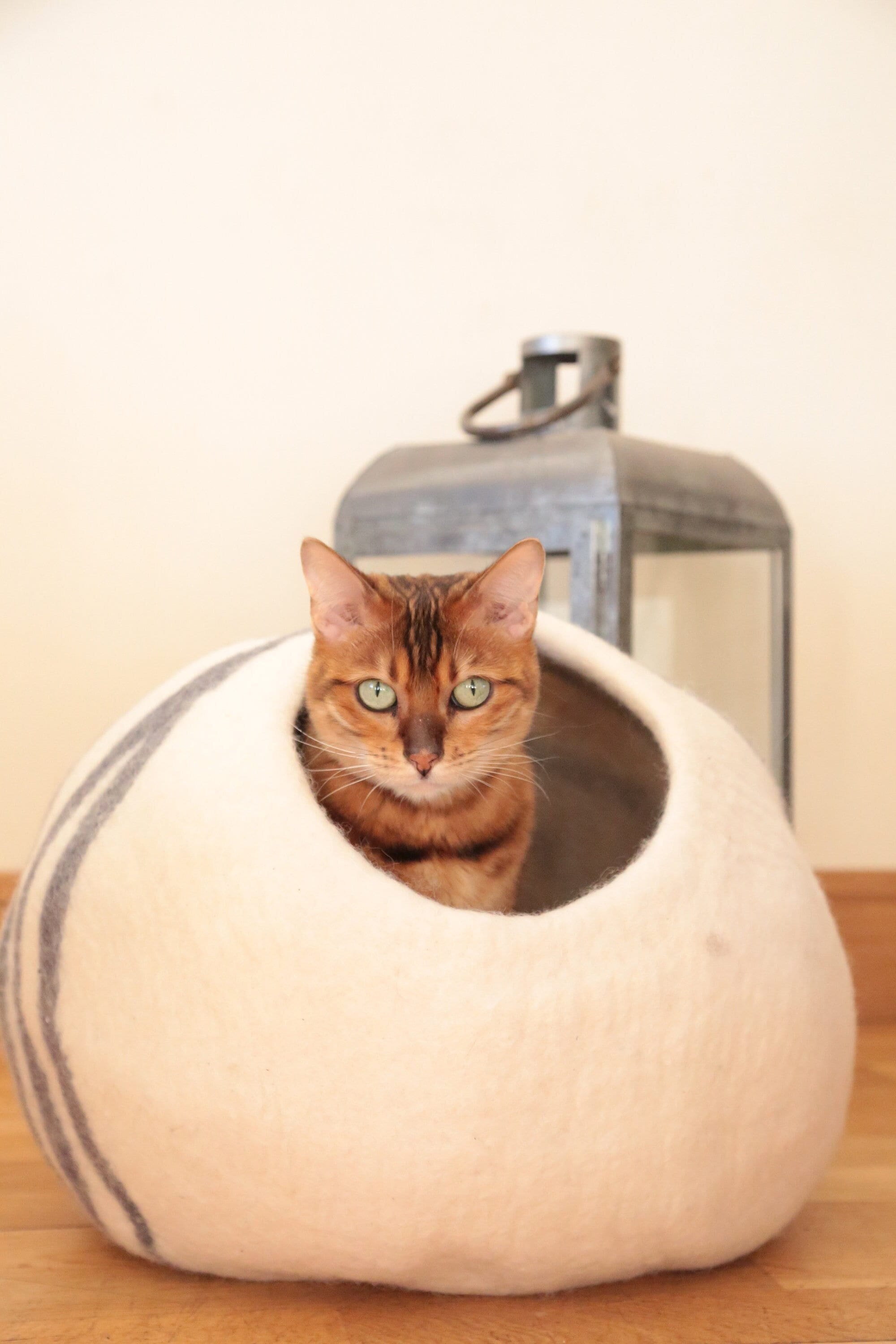 eco friendly cat bed