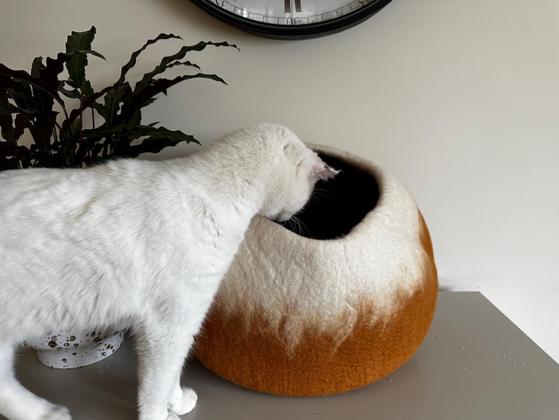 May include: A white cat stands beside a round, dome-shaped pet bed made of felted wool. The bed features a two-tone design with a cream-colored top section that transitions into a deep, earthy brown base with a textured, uneven color gradient.