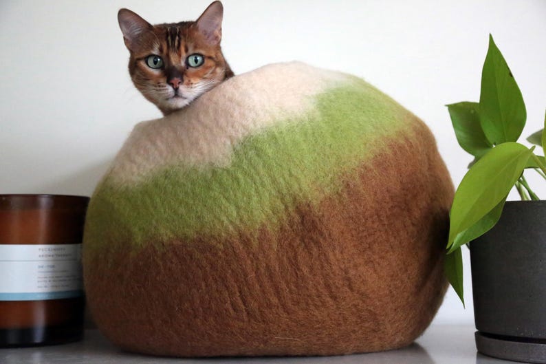 May include: A round, felted wool cat cave featuring a gradient color pattern that transitions from a light cream top to a vibrant green middle section and a deep brown base, with a brown tabby cat peering out from the circular opening.